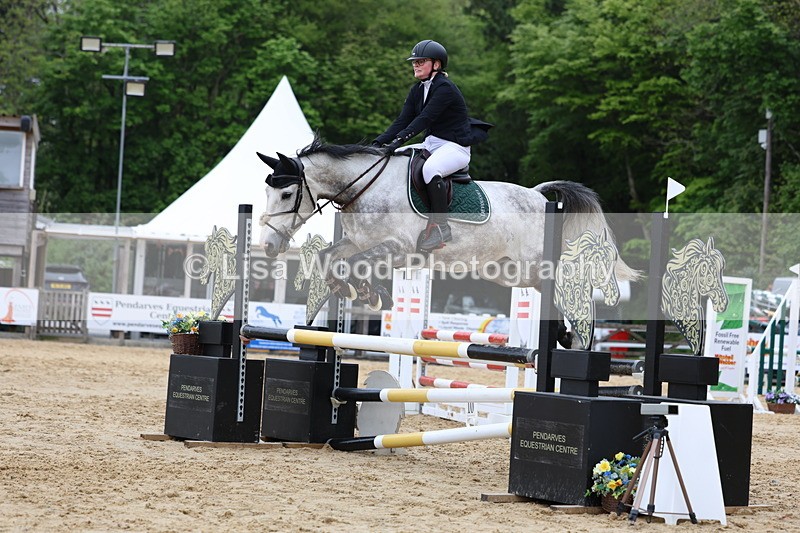 3E7A6415 - Class 4: Senior British Novice/90cm open