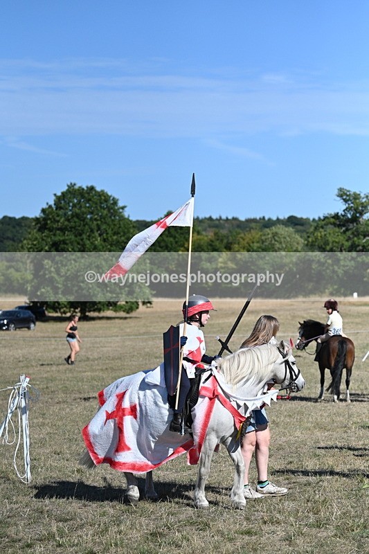 WJ7_2307 - Class 45 Fancy Dress (My Fav)