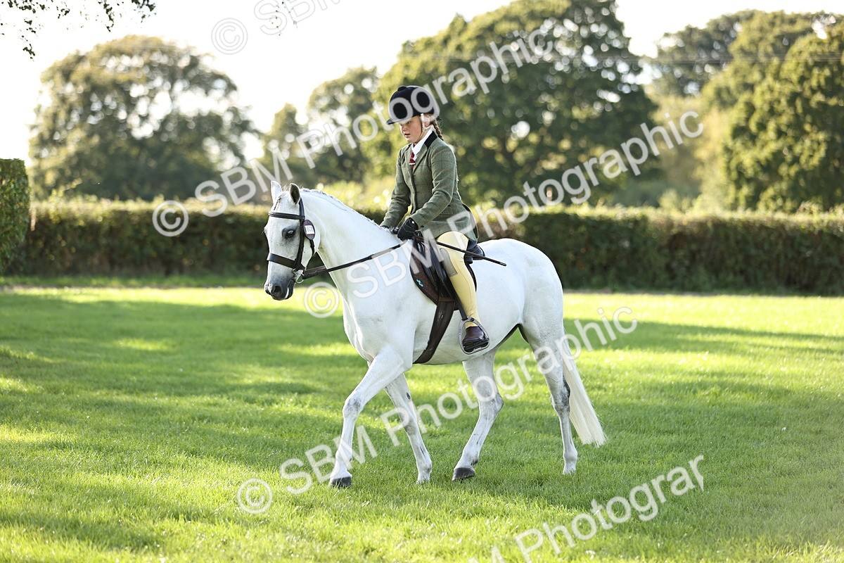 SBM_29358 - S7 - Novice & Newcomers Ridden Pony