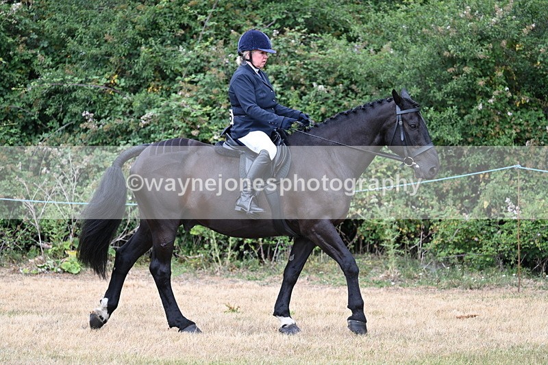WJ7_0822 - Class 3 Family Mount