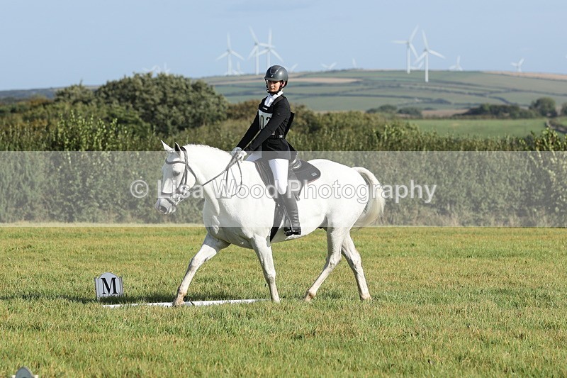 JPP_7849 - Class 2A: Trekenning Open: Dressage