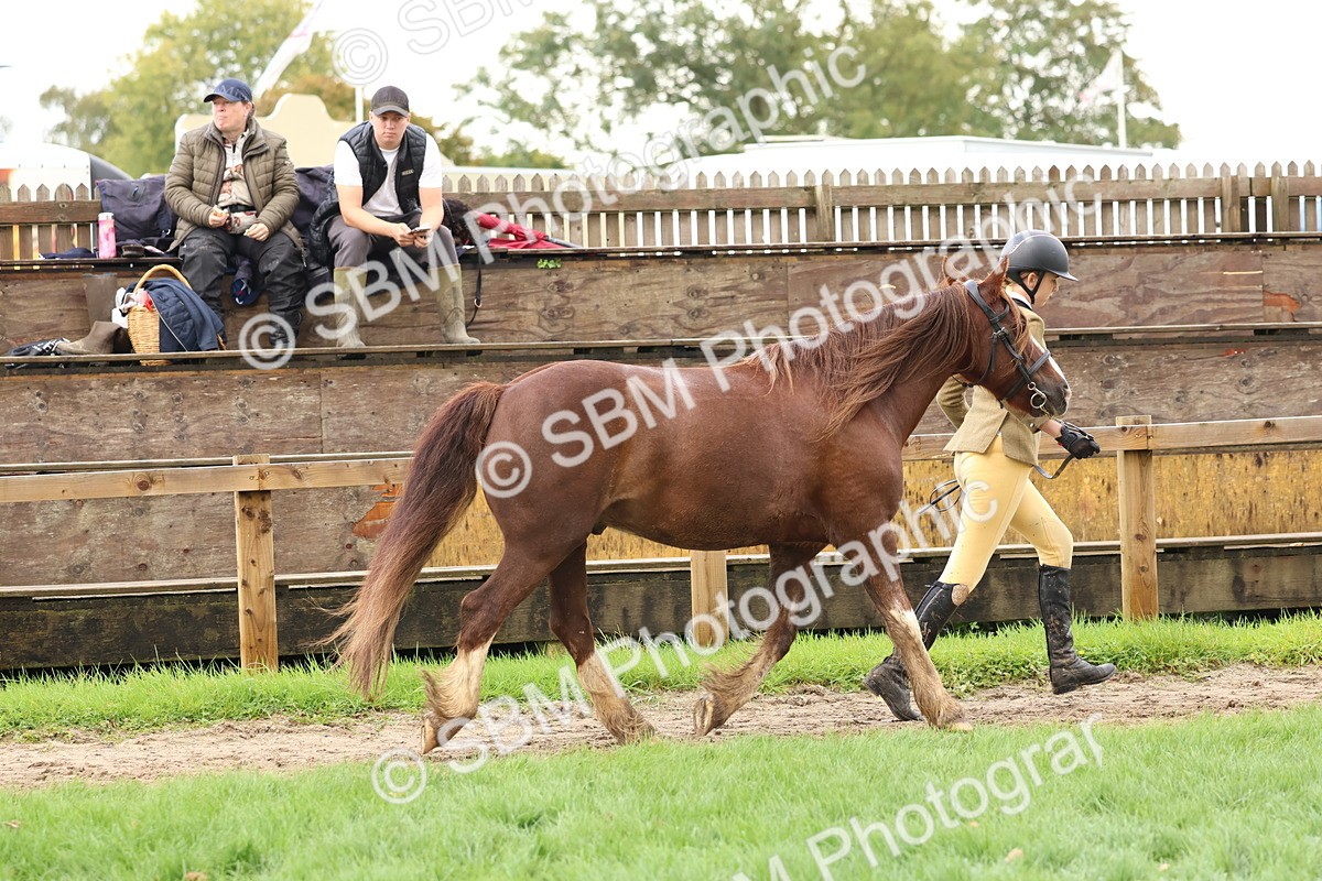 SBM_39491 - S24 - Young Veteran In Hand