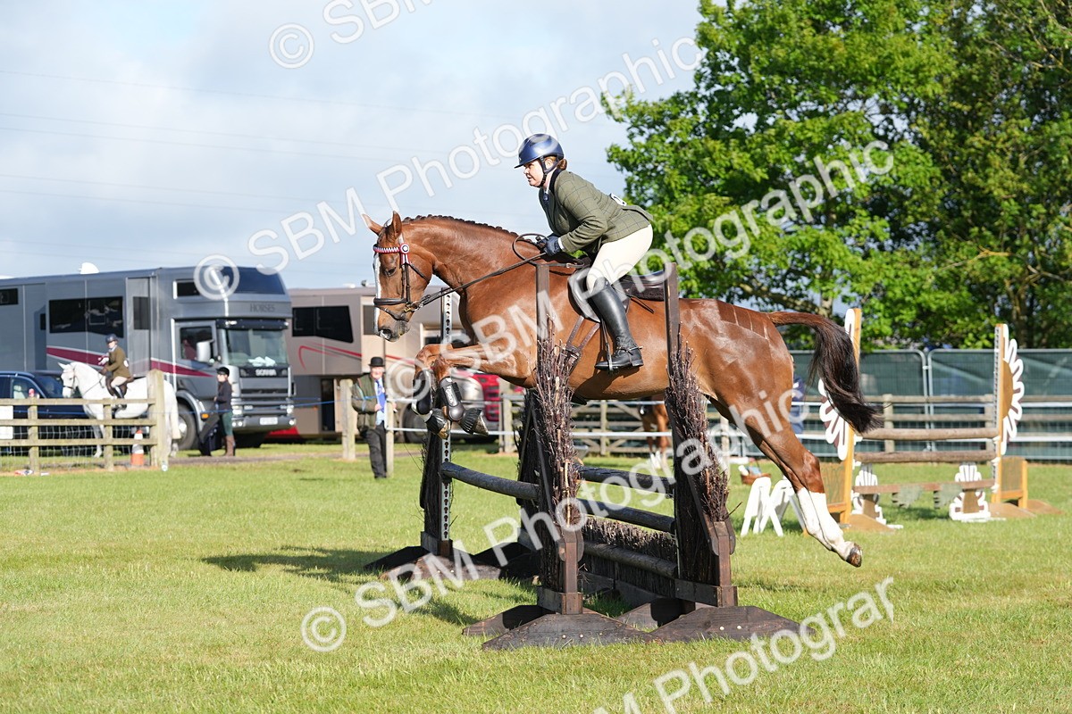SBM_10510 - Class 97-98 - LIHS BSHA Rising Star Working Show Horse Hunter