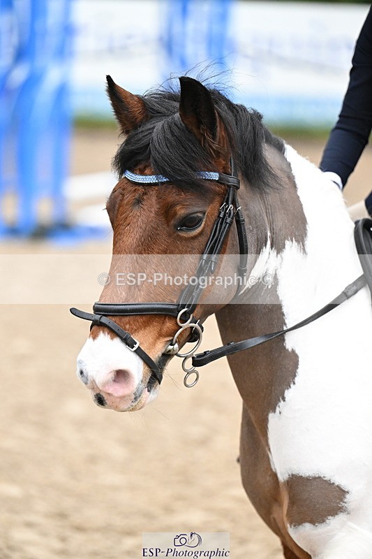 260222A-094129-00192 - 40cm Lead Rein and Assisted