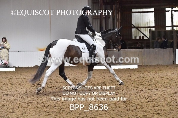 BPP_8636 - NOVICE 4 BD