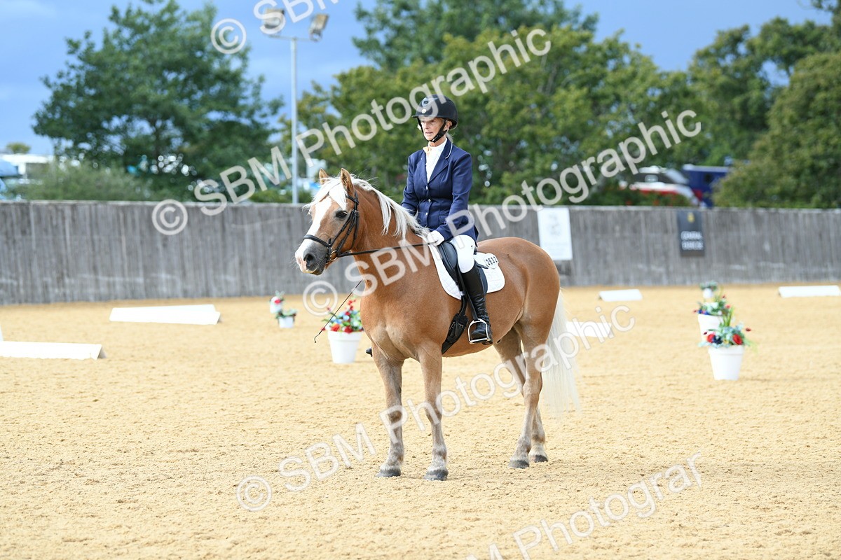 SBM_10899 - D28 Elementary Taster Elementary 42