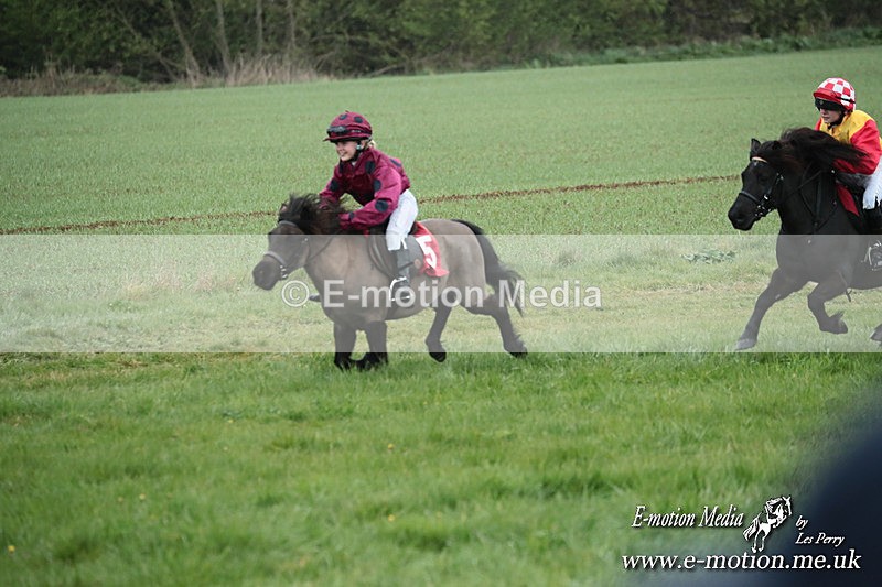 SHETPR 210425 114 - Shetland Ponies Paxford Races 21/04/25