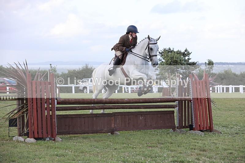 JPP_3629 - Class 24: Open Working Hunter