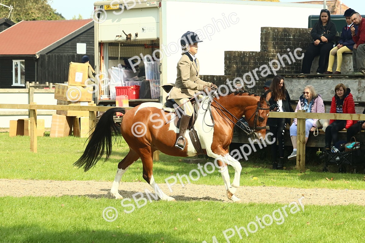 SBM_67497 - S56 - Coloured Pony Ridden