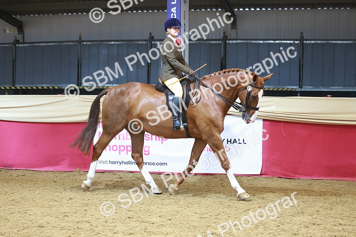 SBM_12473 - Class 103 - HOYS Veteran Qualifier - Ridden Pre Vet