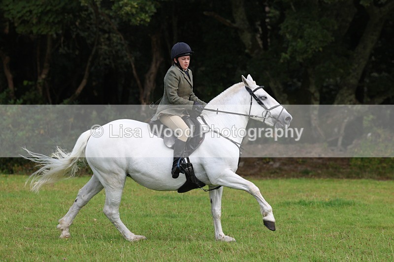 3E7A6006 - Class 28: 75cm Working Hunter