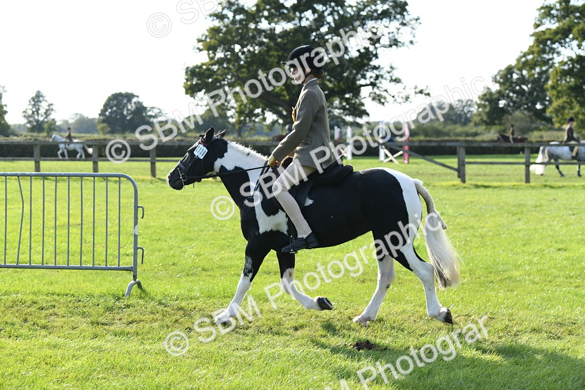 SBM_52080 - S21 - Novice & Newcomers 1st Ridden Pony