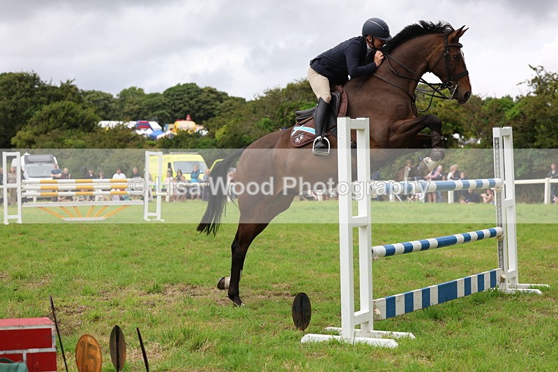 3E7A8587 - Class 8: Senior Foxhunter/1.20m open