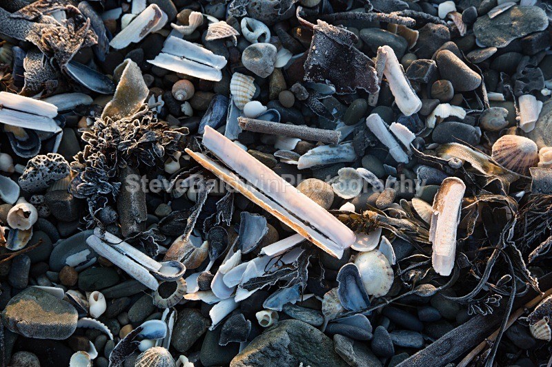 Frosty Shells: 4E - Ireland