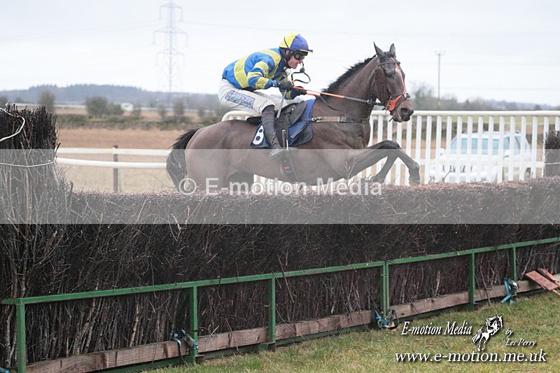 PtP 260125 347 - Cocklebarrow Point-to-Point racing with the Heythrop Hunt 26/01/25