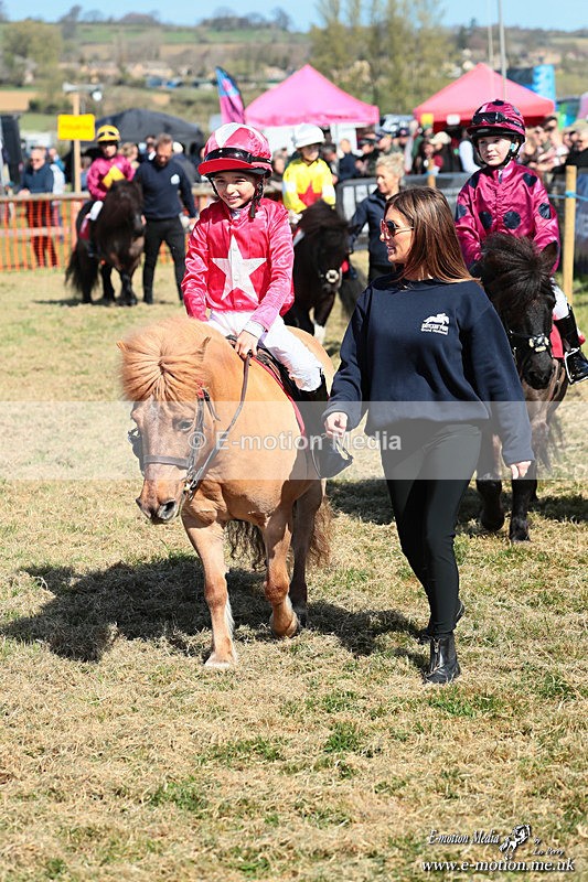 Shet 060426 106 - Shetland Pony Racing Paxford Races Easter Mon 06/04/26