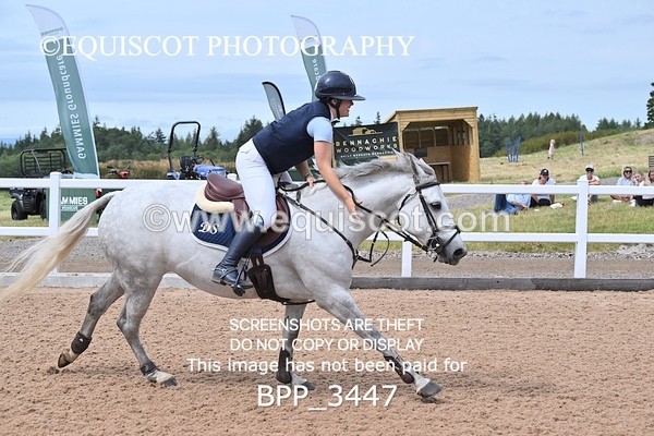 BPP_3447 - FRI CLASS 19 Junior 1.20 Open /Inc 148 Restricted Open **Viewing/Selection class for 148 teams**