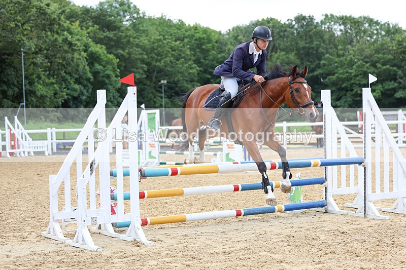 3E7A3207 - Class 4: Senior British Novice/90cm open