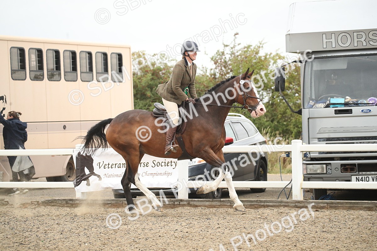 SBM_18434 - Class 509B - Working Veteran - 80cm (20+)