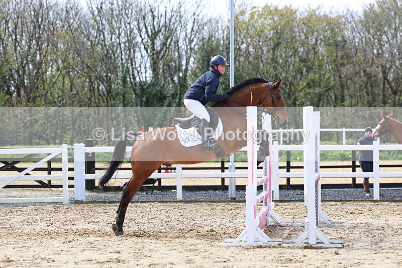 3E7A0812 - Class 4: Senior British Novice/90cm open
