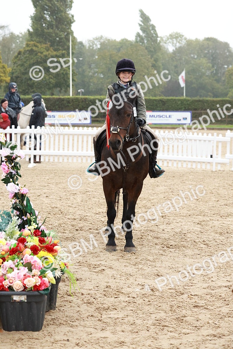 SBM_73629 - Supreme Championship Junior Pony 60cm & 65cm