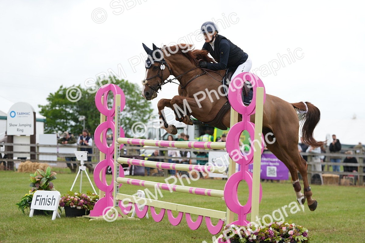 SBM_05284 - Class 201 - British Horse Feeds Speedi Beet Horse of the Year Show Grade  C