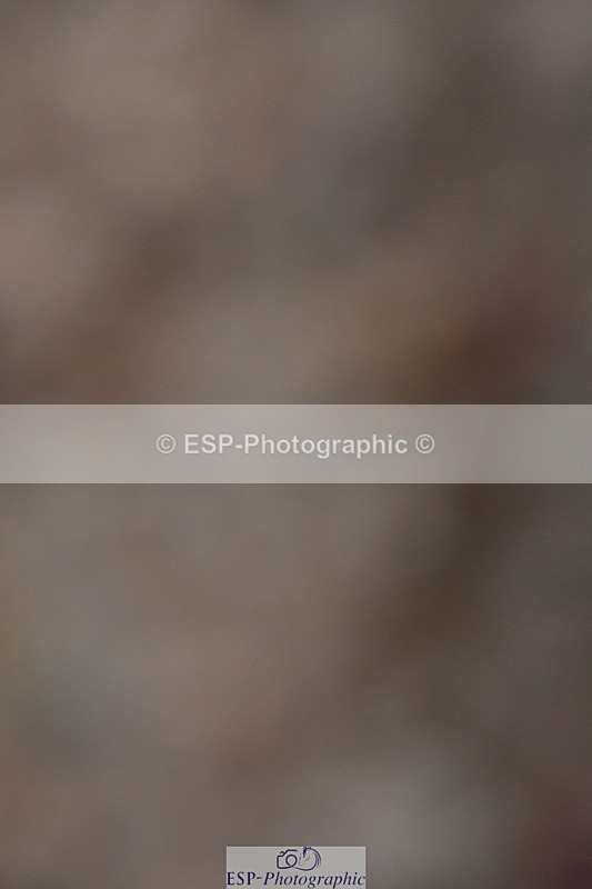 231104A-152545-01063 - Cls 20 FEI Inter I