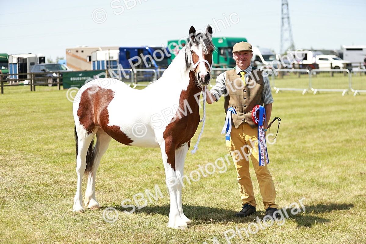 SBM_05542 - Class 41-45 - Riding Pony-Hunter Pony Breeding