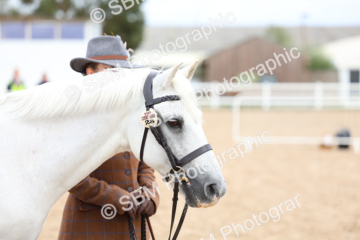 SBM_05968 - Class 29 - IH Veteran Pony