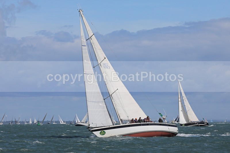 170806 NED6063 1Y3A1685 - FASTNET RACE DAY 6th AUGUST 2017