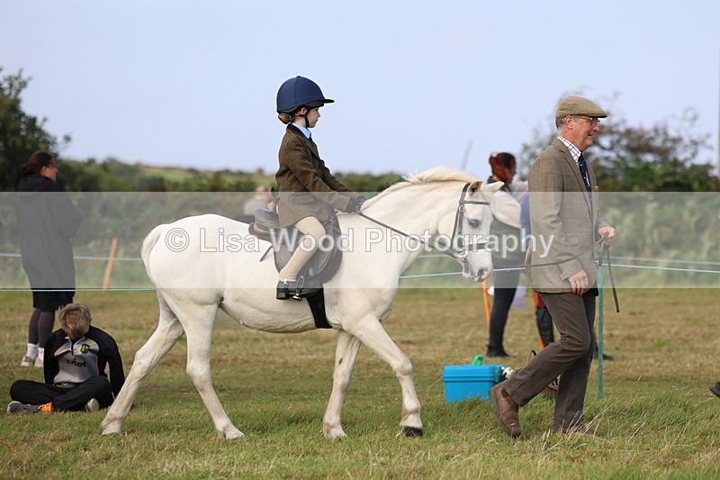 3E7A3321 - Class 2: Lead rein