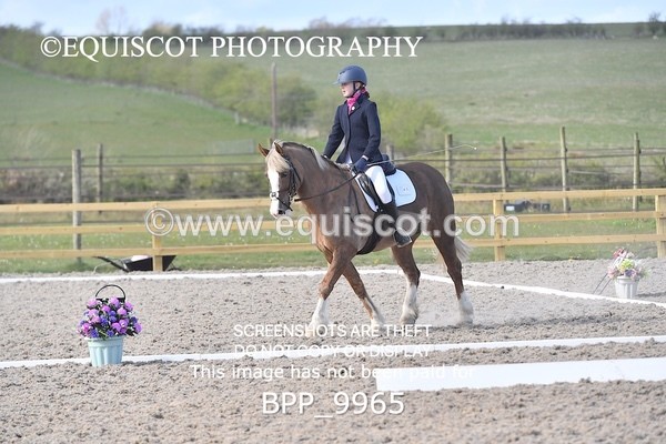 BPP_9965 - TEAM QUEST PRELIM 3