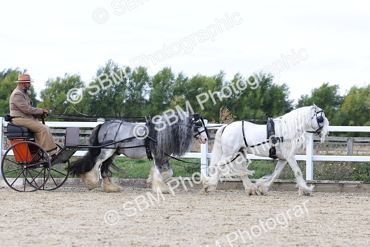 SBM_001151 - Class 16 - Pairs ,Multiples and Tandems