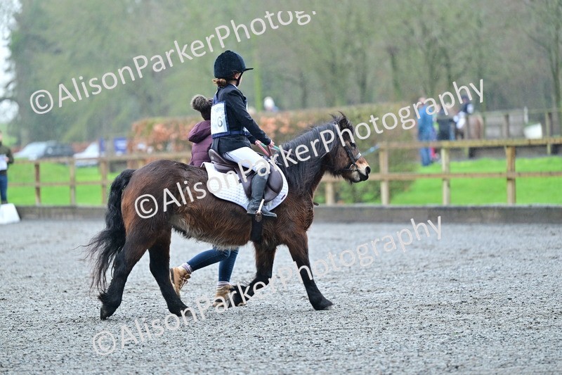 20260125-0869 - Class 9a - Walk Trot Assisted