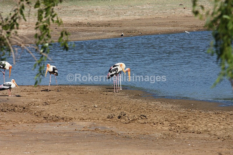  - Travel and culture