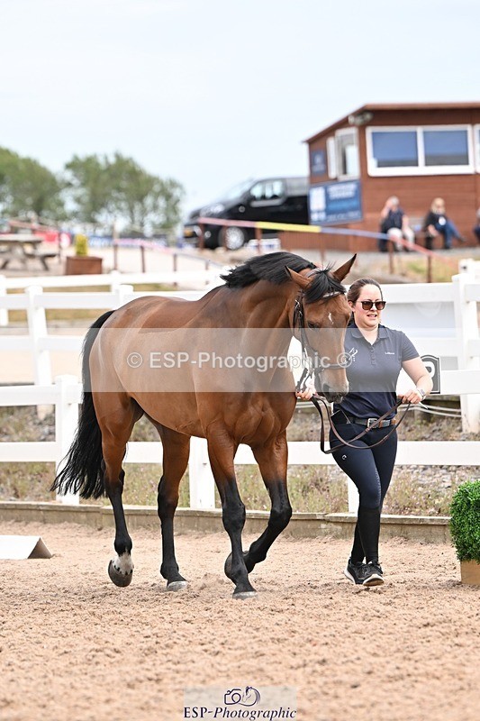 250716-154150-02134 - Trot Up 3.30 to 4.30