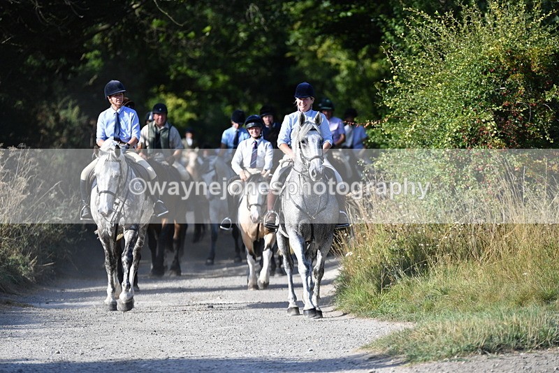 WJ5_4877 - Walk out with the hounds
