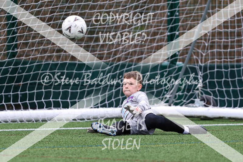 1DX30356 - 2026-02-22 FC Abbey Meads U11 Blue V FC Abbey Meads U11 Purple