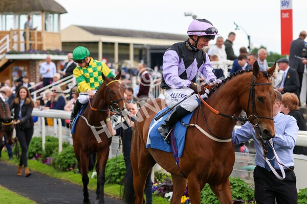 yr22052022r3-29 - Race 3: 4:35pm Sky Bet Sunday Series Dash