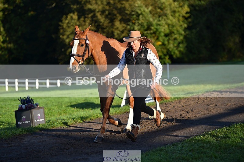 231022-090522-21555 - 606-GOLDEN.HEART.BREAKER-Emily.R.Vincent-TrotUp+SJ