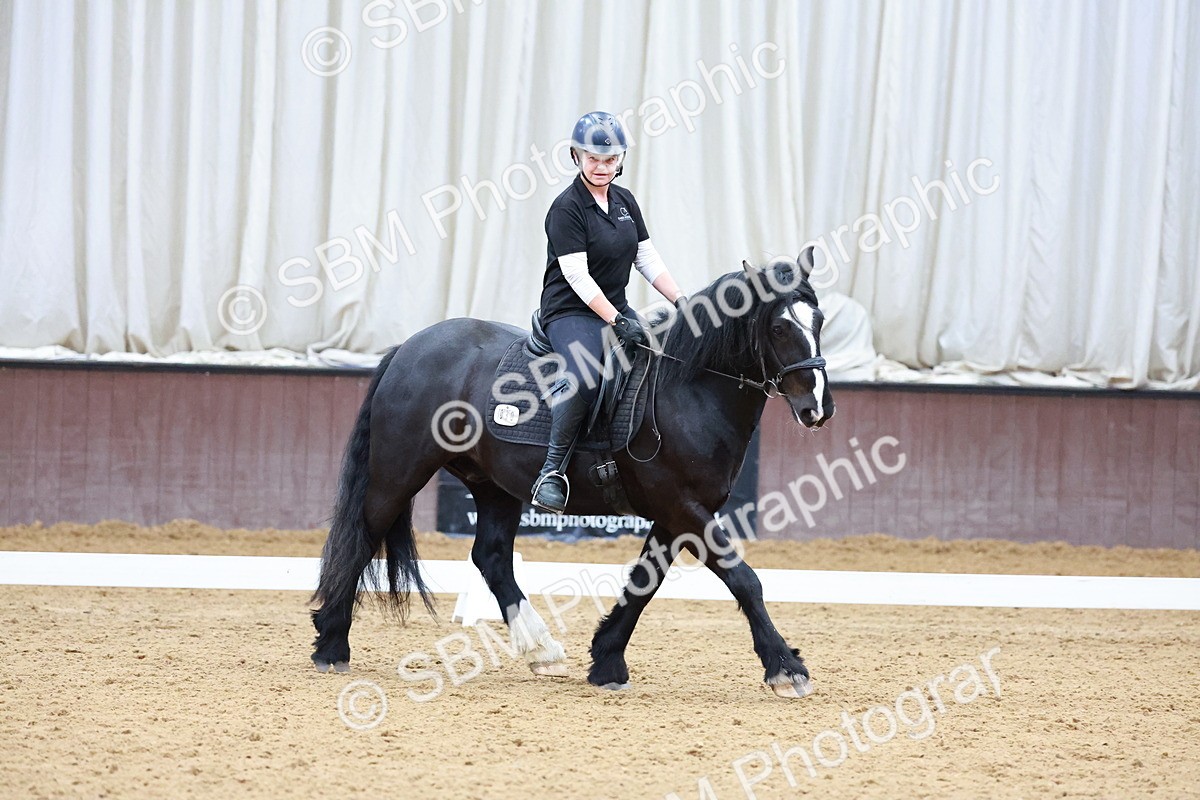 1I0A0795 - Class 3-6 - Prelim 1-Novice 2