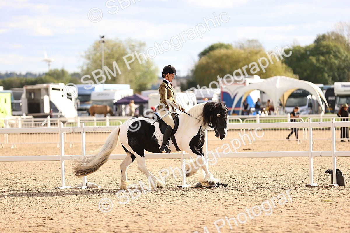SBM_18253 - Class 423 - Equitation (best rider) Adult