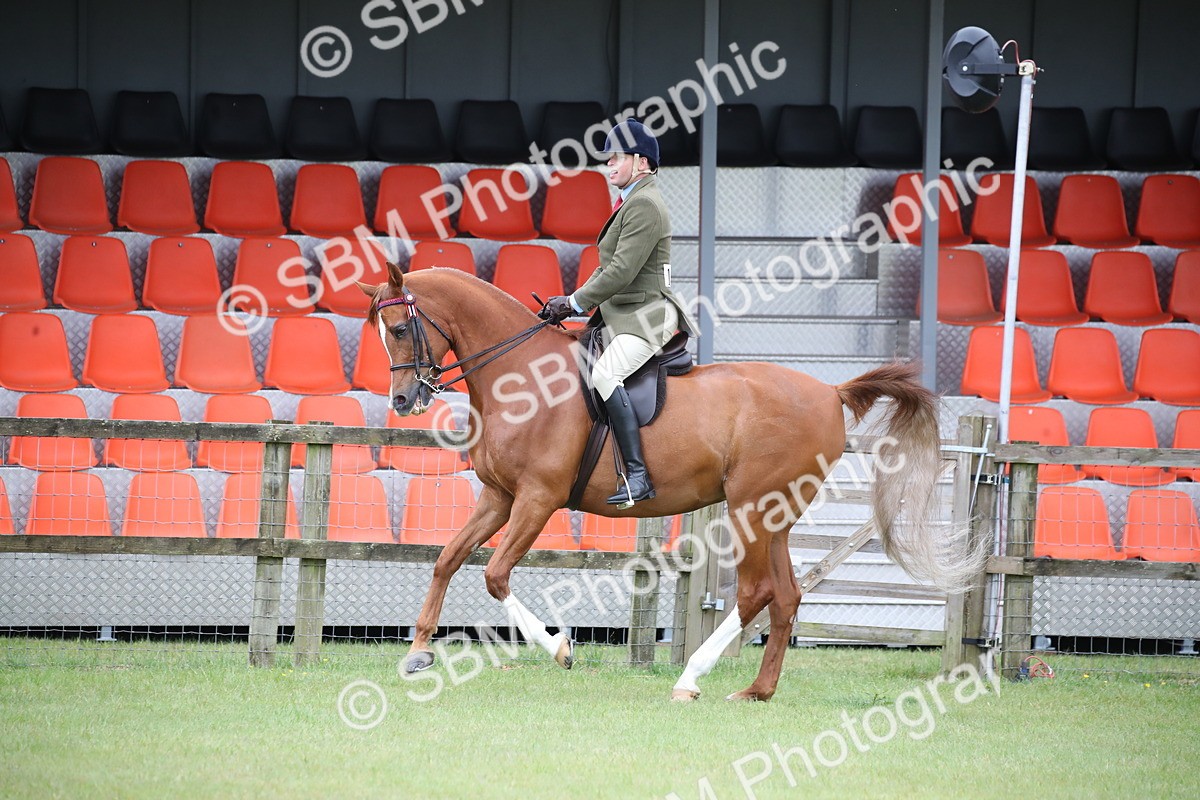 SBM_03632 - Class 21 - 22 - Ridden Arab and Part Bred/Anglo Arab