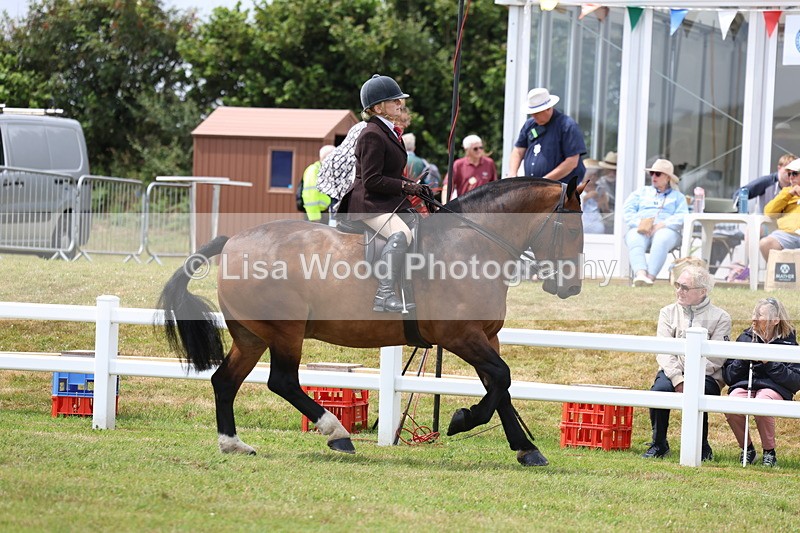 3E7A1930 - Class 10: Open Cob