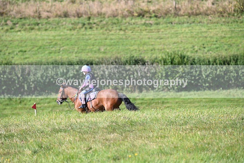 WJ6_6629 - Time 10:21 to 10:35