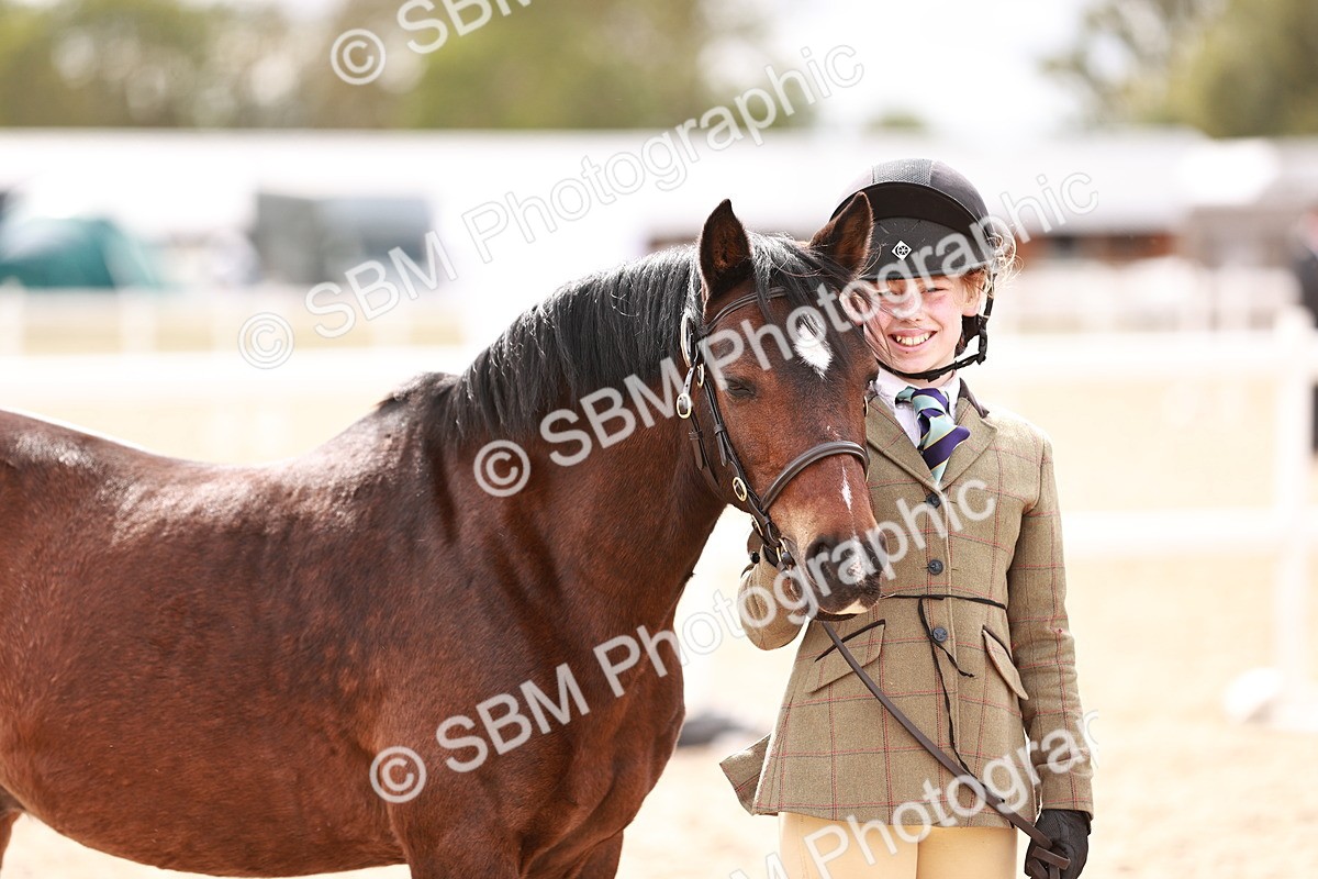 SBM_18311 - Class 417 - Handsome Gelding (IH or Ridden - JNR)