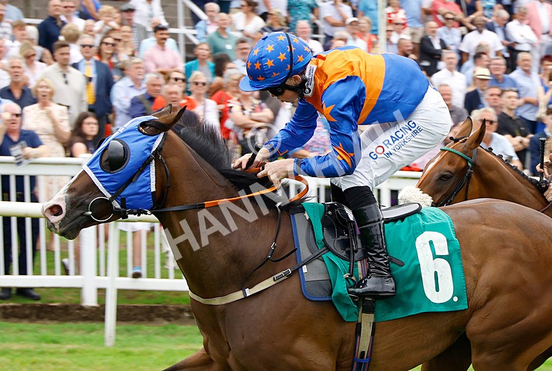 250725-Race 4-Miss Rainbow-88514 - Race 4