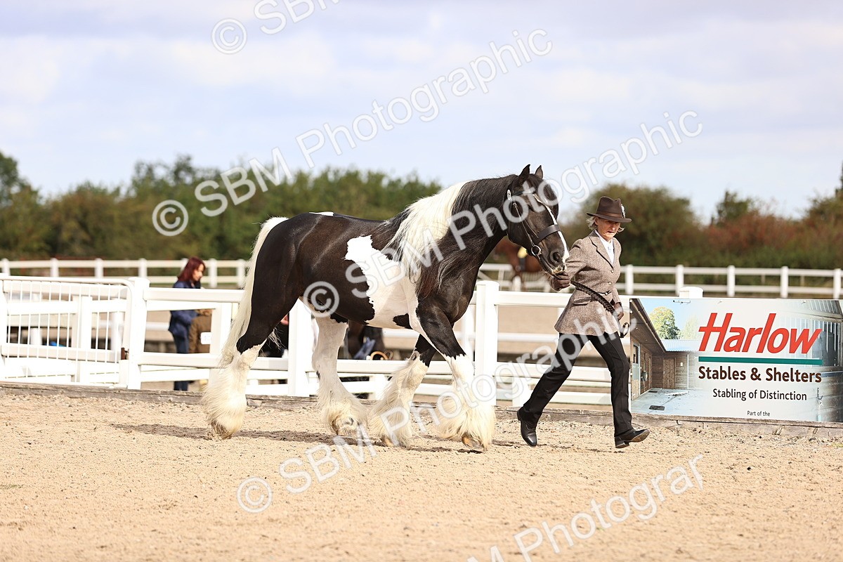 SBM_09284 - Class 404 - IH Traditional - Native Cob