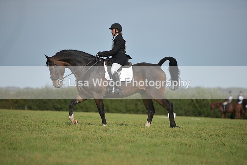 RAY_7898 - Class 2B: Trekenning Open: Dressage