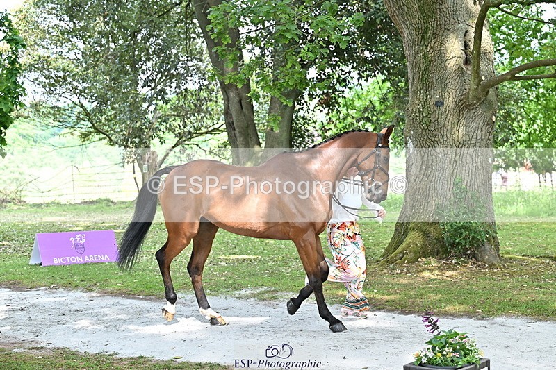 250521A-151827-00411 - B-362-Kat.Raybould-THE.ELLFIELD.DIKSTER